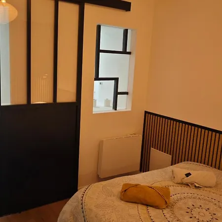 Le Celestin - Centre-ville Avec Terrasse Et Salon De Jardin * Vichy