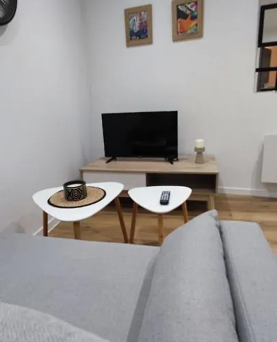 Apartment Le Celestin - Centre-ville Avec Terrasse Et Salon De Jardin Vichy