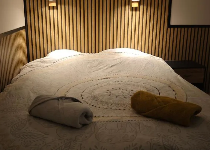 Apartment Le Celestin - Centre-ville Avec Terrasse Et Salon De Jardin Vichy