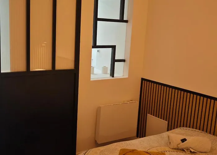 Le Celestin - Centre-ville Avec Terrasse Et Salon De Jardin * Vichy